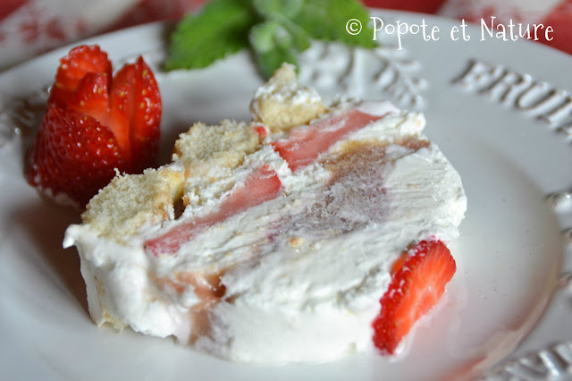 Bûche glacée à la rhubarbe et aux fraises © Popote et Nature