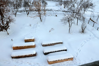 Our front lawn and raised beds covered in snow