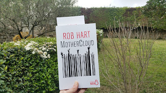 Mothercloud Rob Hart happybook avis chronique littéraire laliseuseheureuse