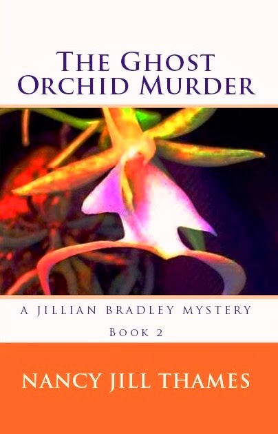 http://www.amazon.com/Jillian-Bradley-Mysteries-Mystery-ebook/dp/B004CLYG9Y