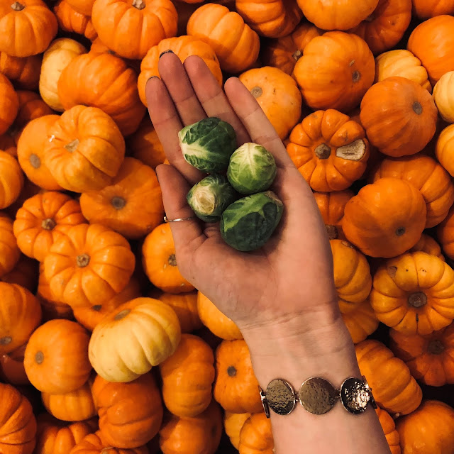 Halloween ingredients | pumpkin carving | Halloween recipes | fall time recipes | autumn recipes | pumpkin recipes | no pumpkin fall recipes|  