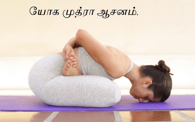 யோக முத்ரா ஆசனம் - Yoga Mudra Asana.