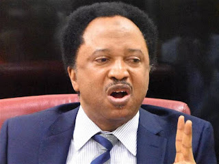 Shehu-Sani