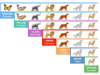 Sistem Klasifikasi Mahluk Hidup
