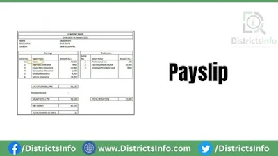 Payslip