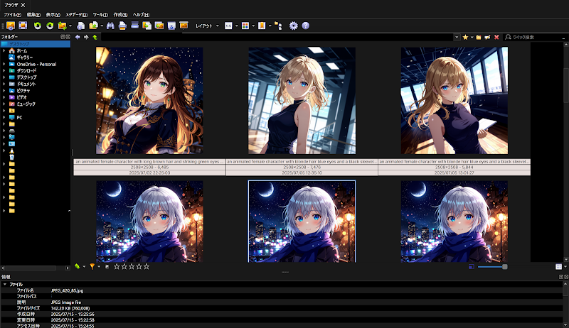 A screenshot of the interface for the image management and conversion software “XnView MP.”