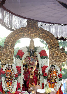 Parthasarathy Perumal, Maasi Ekadsesi, Ekadesi Purappadu,  Trplicane,  Purappadu, Thiruvallikeni, Utsavam, 