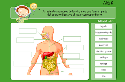 http://www.primerodecarlos.com/CUARTO_PRIMARIA/JUNIO/Bromera/Natura4/natura4_cas_u05_pag10.swf