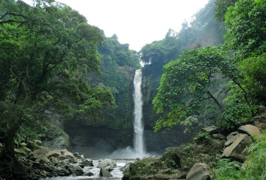 Wisata Coban Cemoro Gading- Pasuruan Jawa Timur