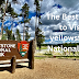The Best Time to Visit Yellowstone National Park