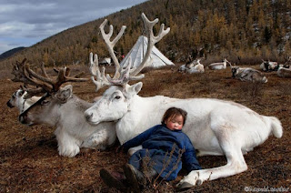 5 Unique Fact Of People Mongolia Living With Deer 