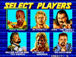 WWF WrestleFest Game