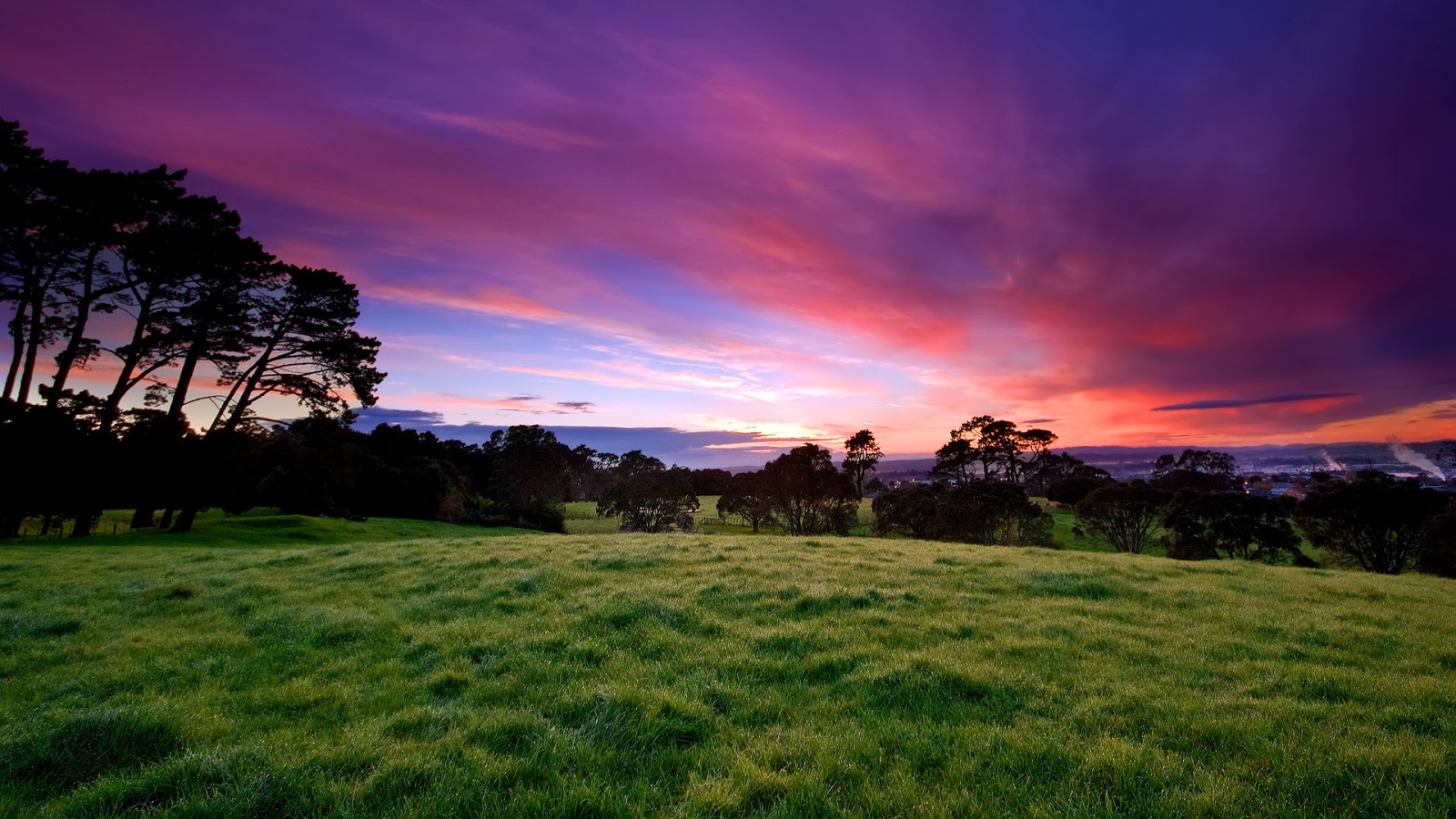 WALLPAPER SENJA DI PADANG RUMPUT Gambar Kartun Lucu Dan