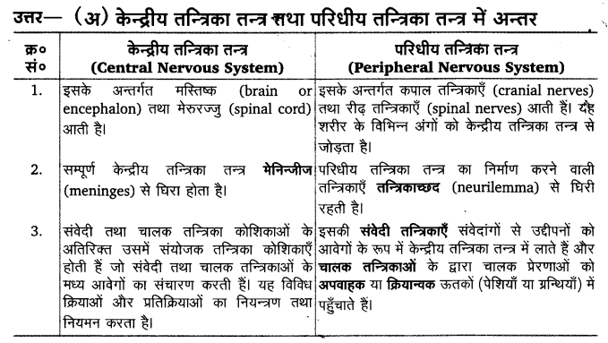 Solutions Class 11 जीव विज्ञान Chapter-21 (तन्त्रिकीय नियन्त्रण एवं समन्वय)