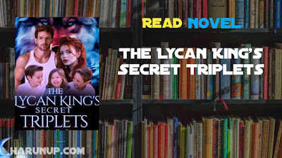 Read The Lycan King's Secret Triplets Novel Full Episode