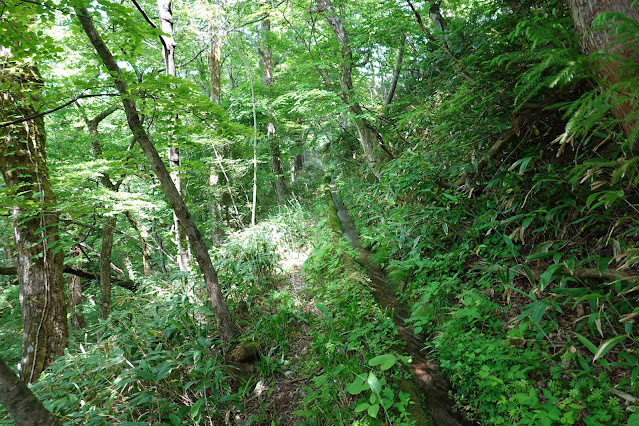 鳥取県西伯郡大山町大山　排水路の風景