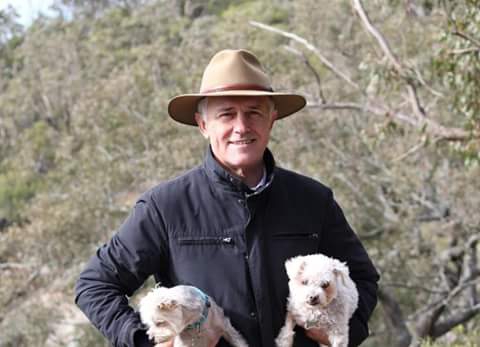 Malcolm Turnbull Awesome Dp Images