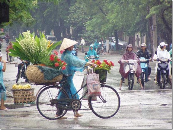 Rain