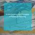 Understanting the Principles of Passage Plan