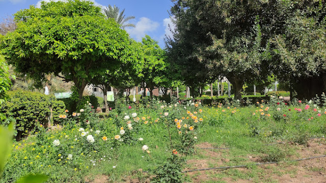 Parc Lalla Hasna - Marrakech