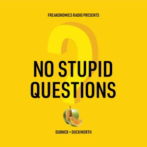 No Stupid Questions logo