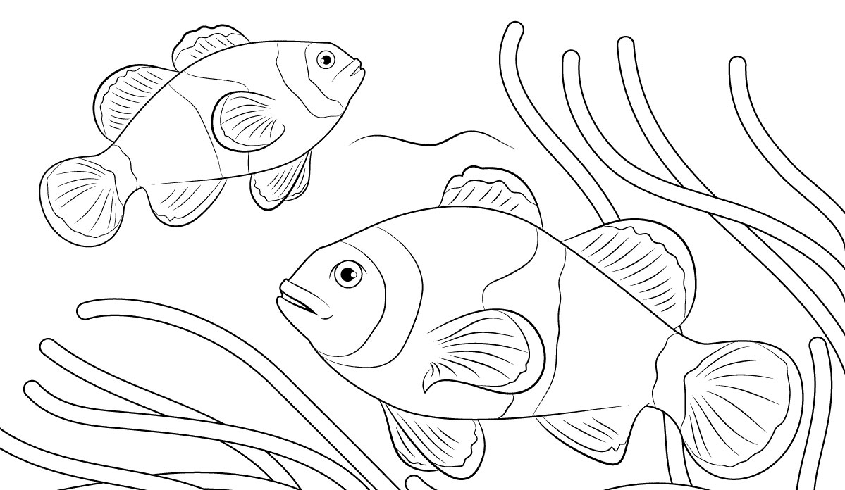 Download Tools Menggambar Ikan  Untuk Anak Tk