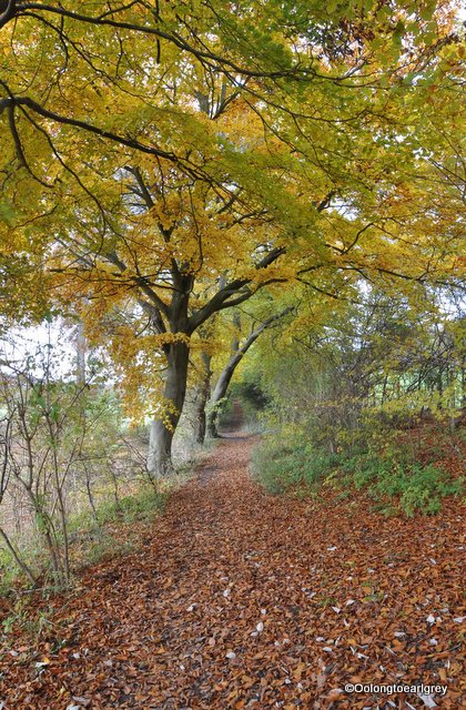 Bledlow Ridge