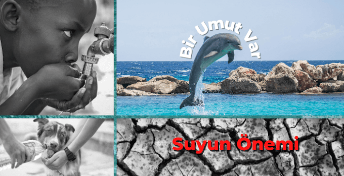 Suyun Önemi; Bir Umut Var