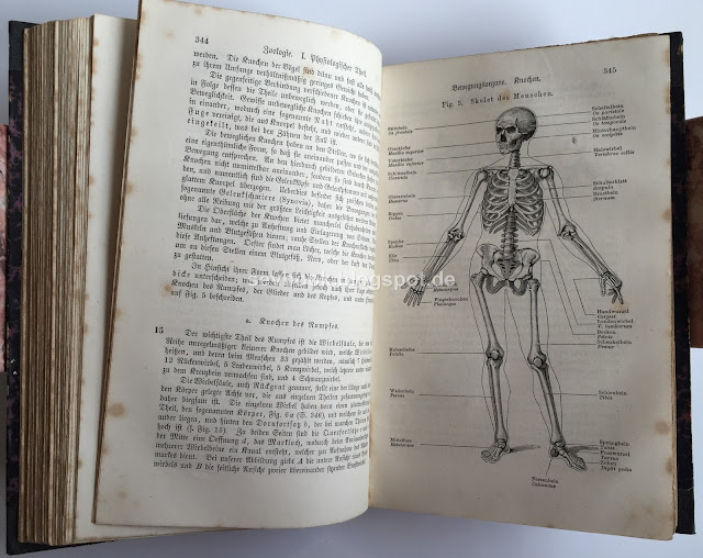 Das Buch der Natur, Schoedler, Friedrich, 1886,  Die Lehren der Physik, Astronomie, Chimie, Mineralogie, Geologie, Botanik, Zoologie und Physiologie