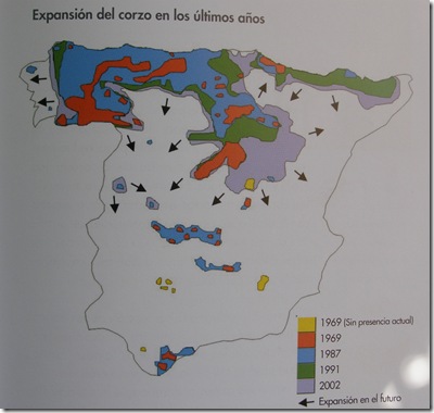 EXPANSION CORZO