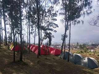 Kemah Seru di Camping Ground Pinus Cuntel