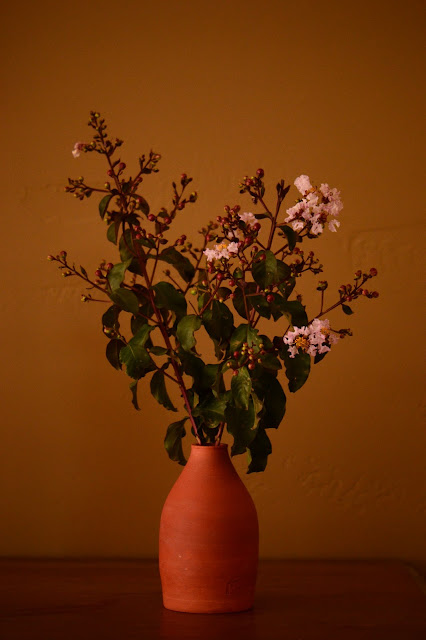 Lagerstroemia "Rhapsody in Pink" , Monday vase meme