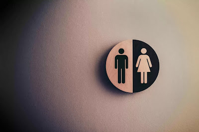 Gender Equality: Meaning, Need, and Importance (HPU B.ed Short Notes)