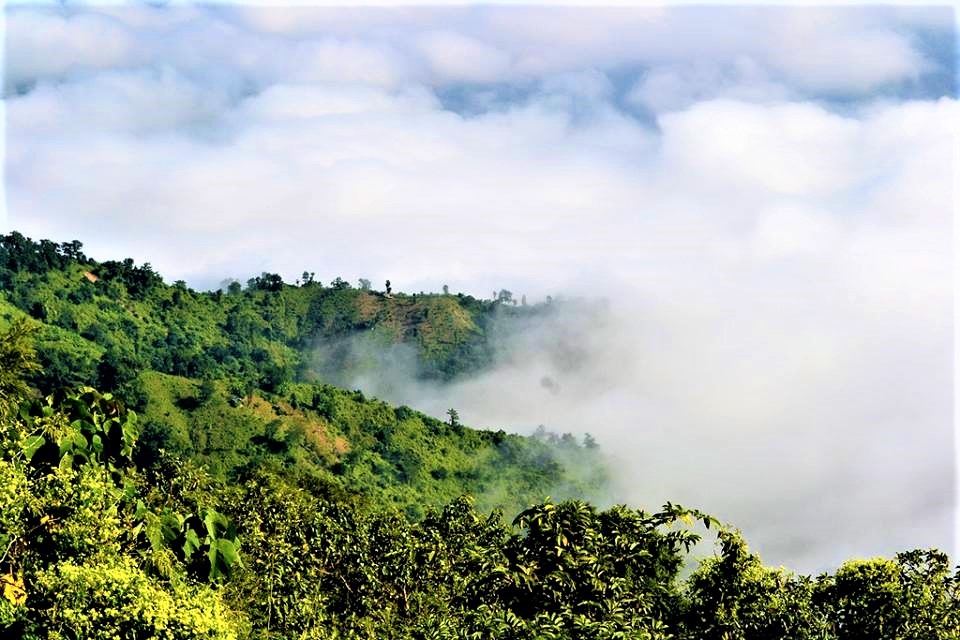 Bandarban Nilgiri