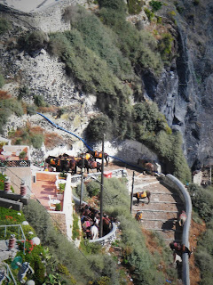 Santorini, Thira, Donkey Station, Osiołki