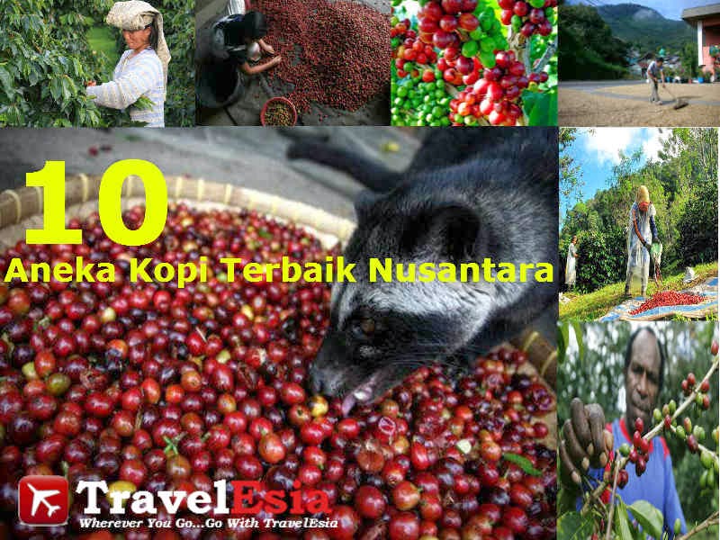 Kopi Terbaik Indonesia