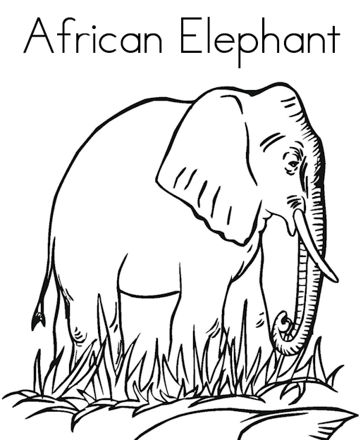 African Animal Coloring Pages Elephant