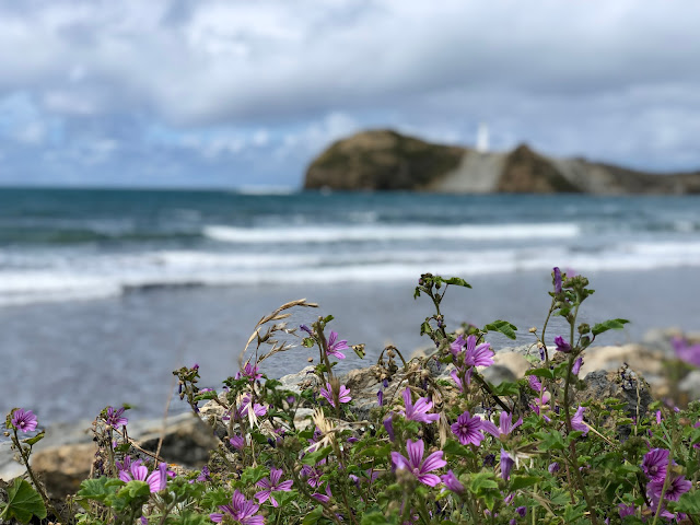 Castle Point Beach and Lighthouse, Masterton, New Zealand