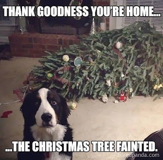 Top30 christmas  funny memes and  photo for whatsapp 2019-2020