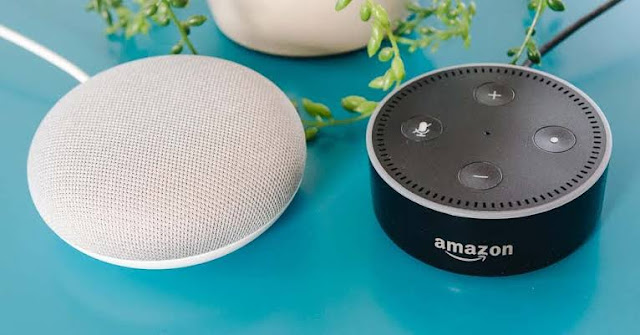 Amazon Echo Dot and Google Nest Mini
