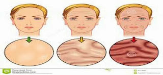 skin aging,causes of skin aging,Protection of skin aging