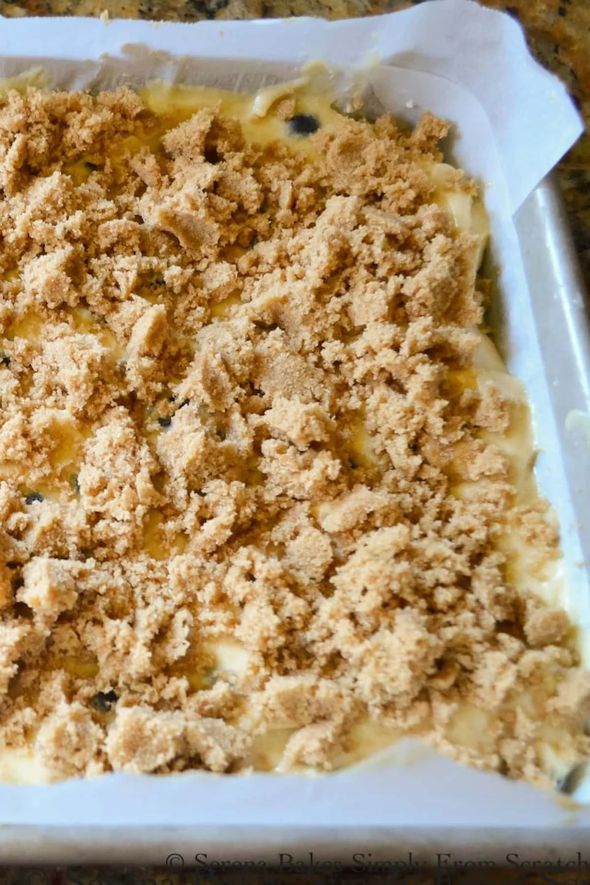 Blueberry Cinnamon Crumb Coffee Cake batter topped with crumble in a 9"x13" pan.