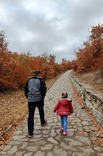 Rosie walking with Wardy