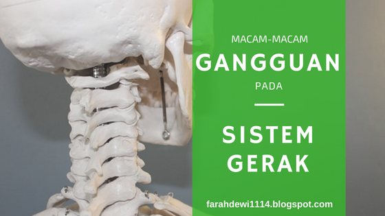 macam-macam gangguan pada tulang, sendi dan otot 