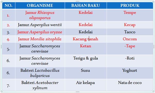 Contoh Energi Alternatif Dari Bioteknologi - Contoh O