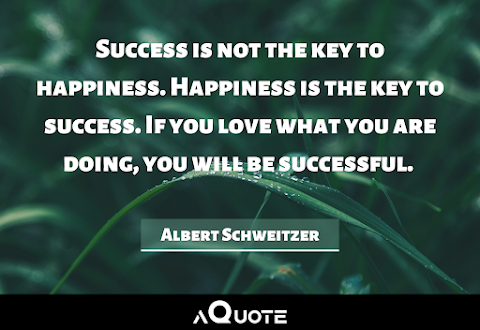 Success is not the key to happiness. Happiness is the key to success. If you love what you are doing, you will be successful - Albert Schweitzer