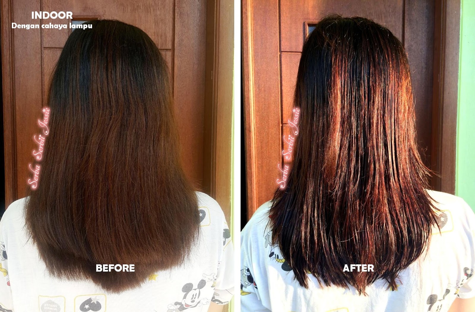  Cat  Rambut  Sendiri Dirumah dengan Beautylabo  Hair Color 