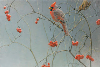 High Bush - Cranberries - Cardinal