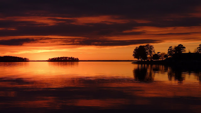 Trees, Sunset, Lake, Night Wallpaper