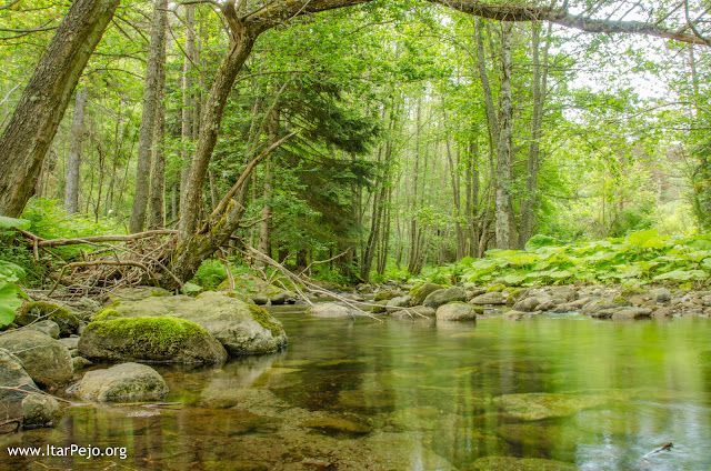 Gradeshka River, Mariovo Region, Novaci Municipality, Macedonia